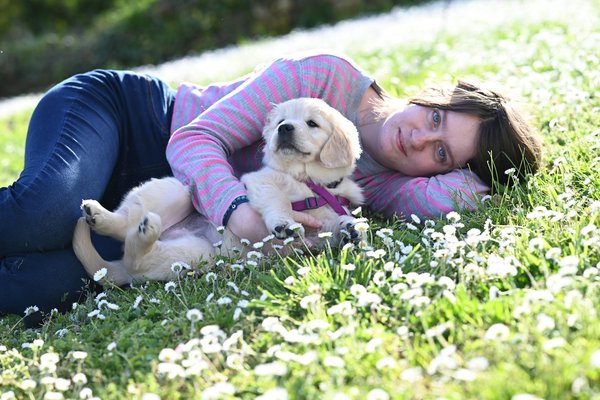 Quels sont les avantages des gamelles anti glouton?